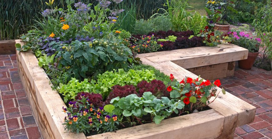 Tips On How To Build A Raised Garden Bed Johnson Land Services